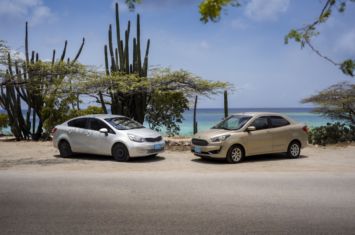 Tex Cars rental cars parked on the Aruba coast